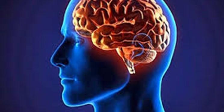 رژیم غذایی که مغز را جوان نگه می دارد