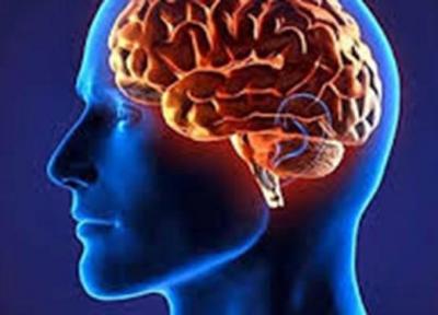 رژیم غذایی که مغز را جوان نگه می دارد