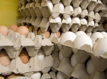 فراوری تخم مرغ کاهش یافت، افزایش قیمت ها در نیمه دوم سال؟