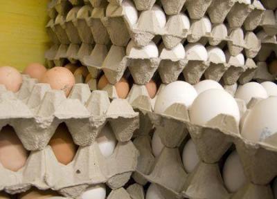 فراوری تخم مرغ کاهش یافت، افزایش قیمت ها در نیمه دوم سال؟